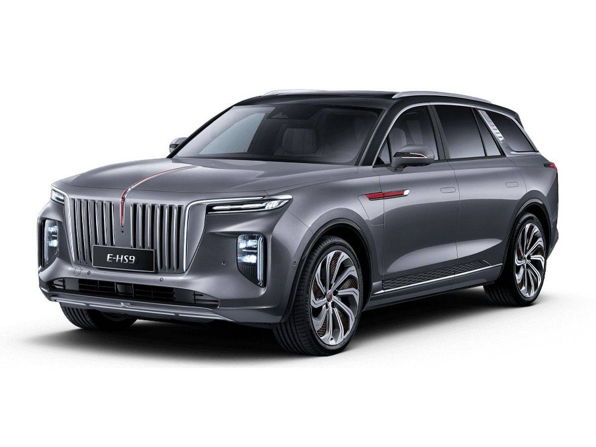 Hongqi E-HS9 Бизнес (Executive)