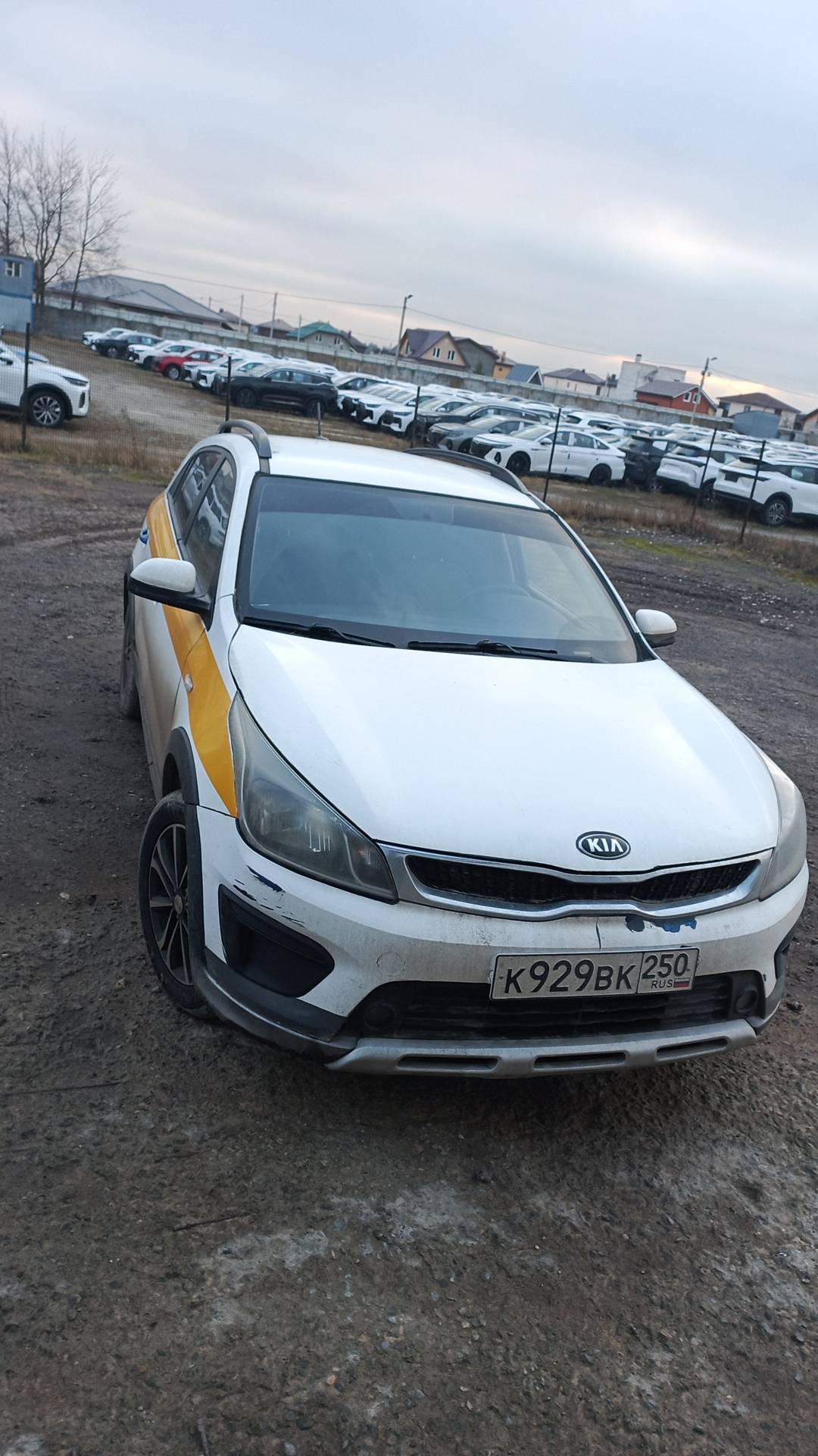 KIA Rio X-Line