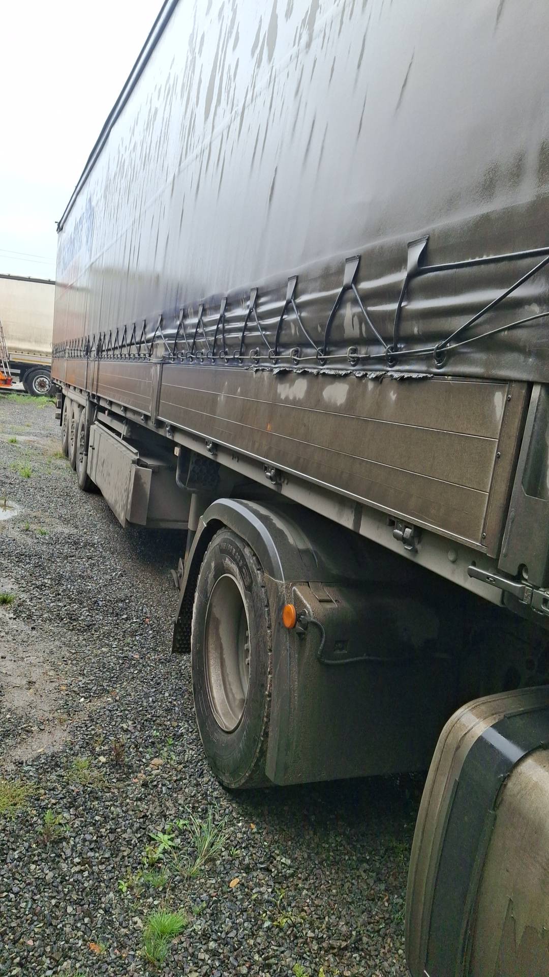 SCHMITZ Шторный SCS 24/L, 2024 года в лизинг