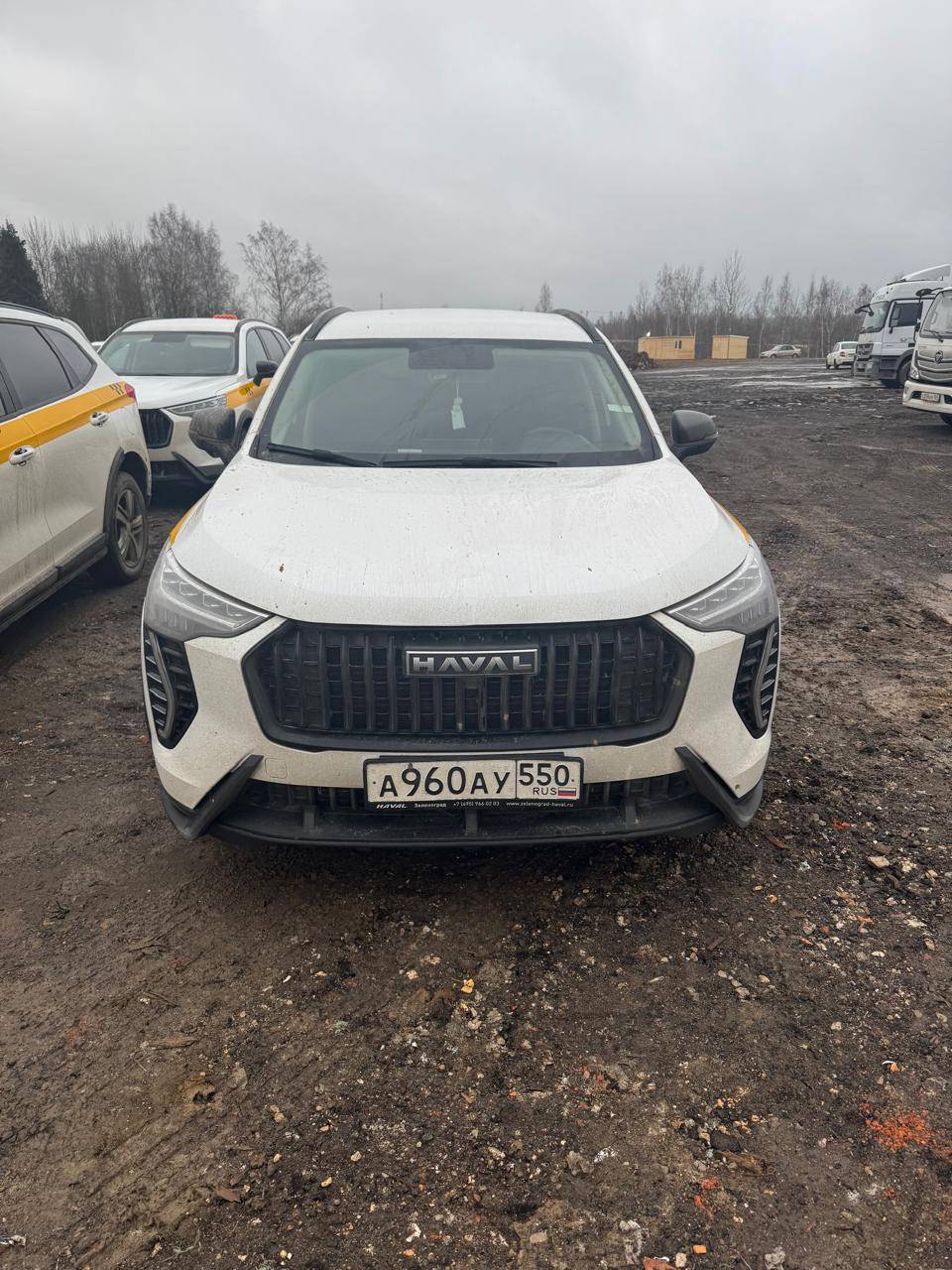 Haval Jolion,  51 240 км, 2024 года в лизинг