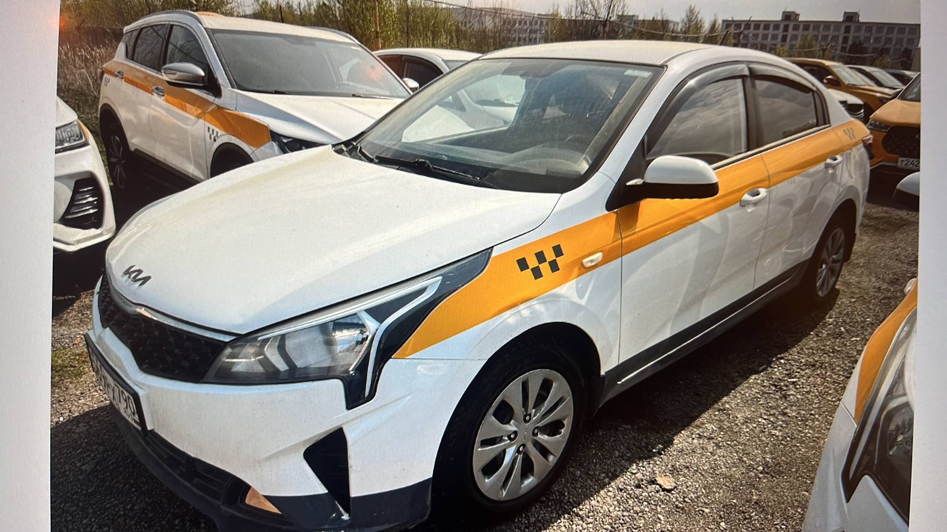 KIA Rio