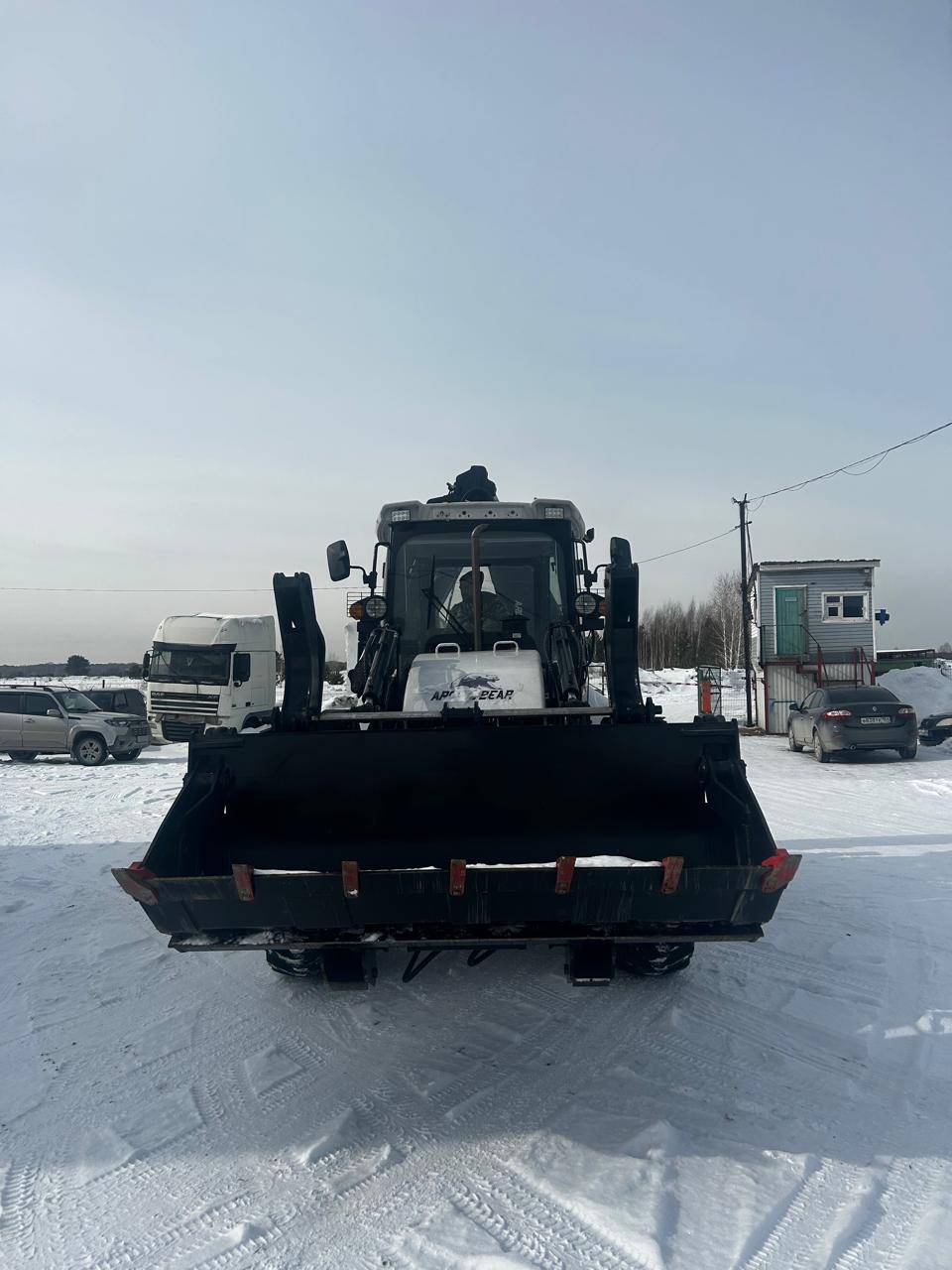 ARCTIC BEAR 4BX-T Лот 000007485