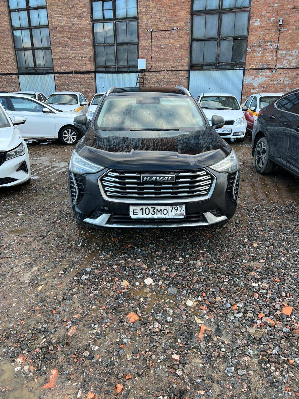 Haval Jolion