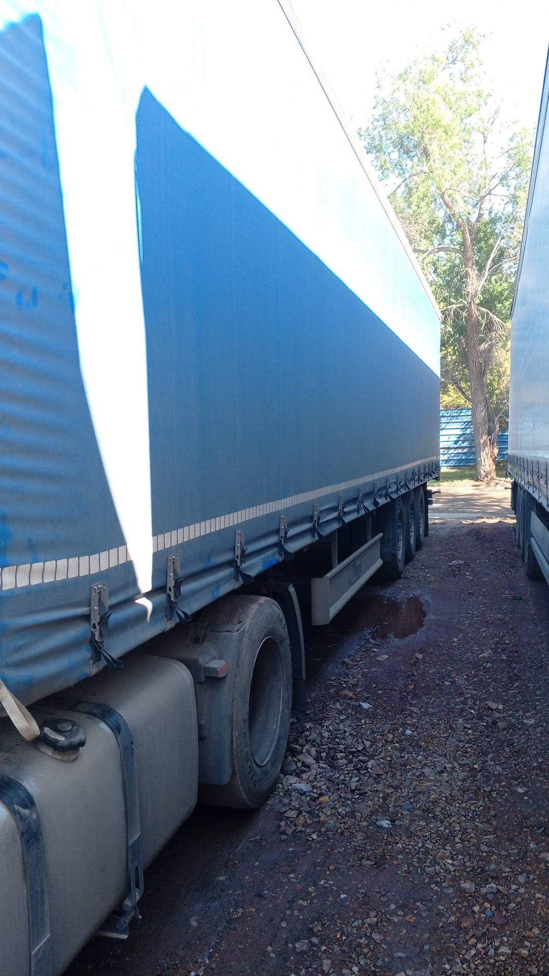 Fliegl SDS 350, 2024 года в лизинг