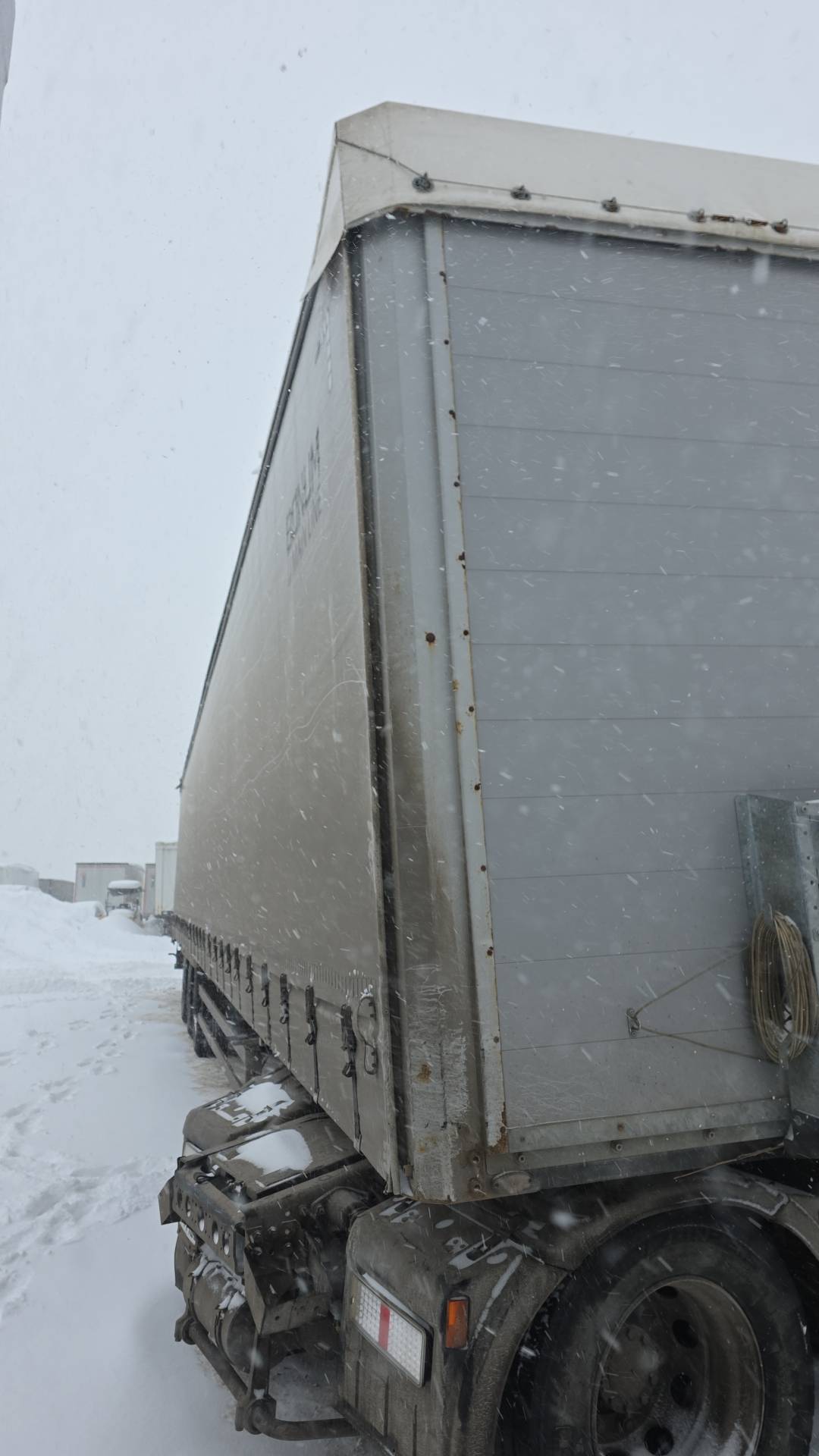 BONUM 914296-04, 2023 года