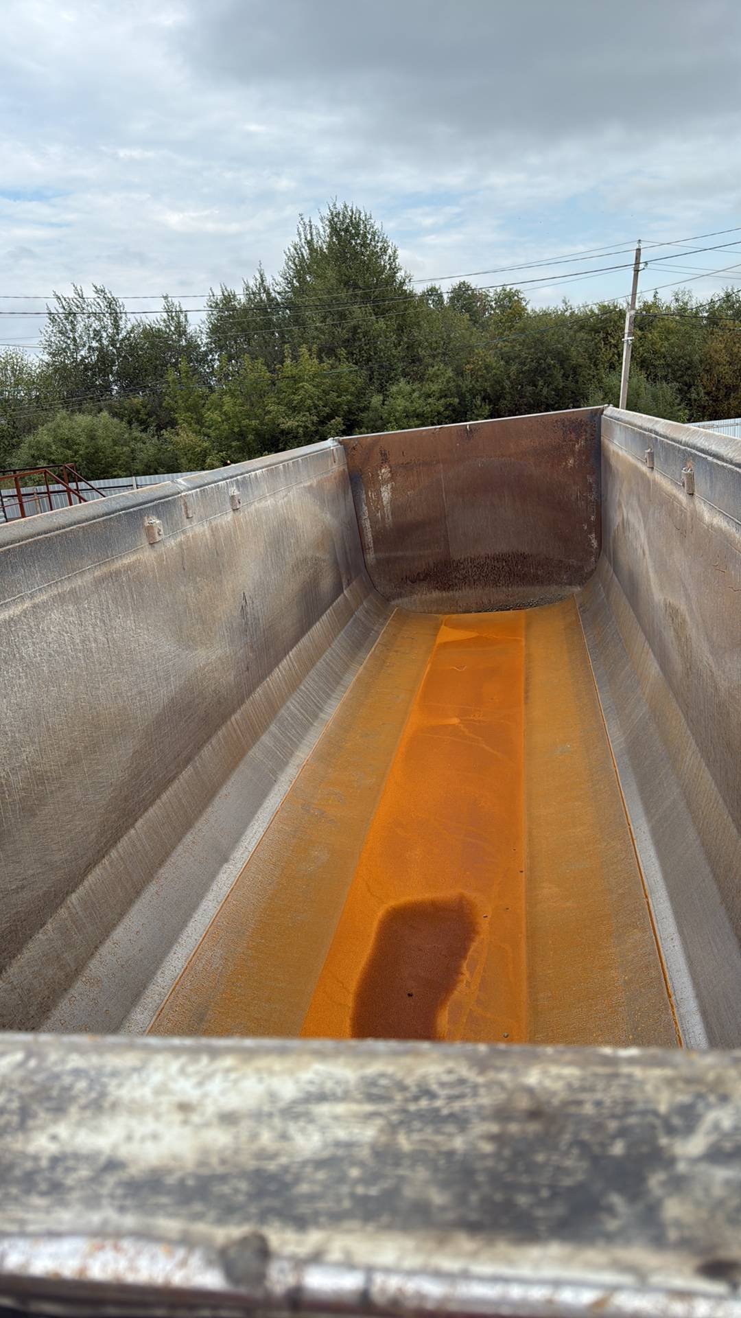 Grunwald Самосвальный Ti 34, 2023 года в лизинг