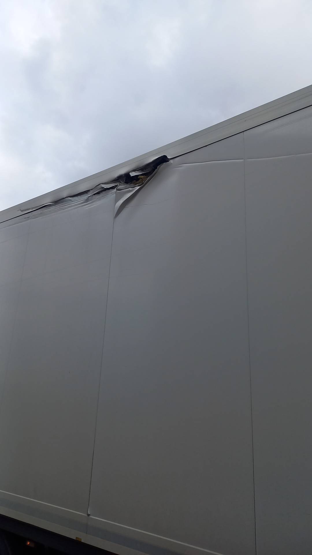 KRONE Рефрижератор SD, 2021 года в лизинг