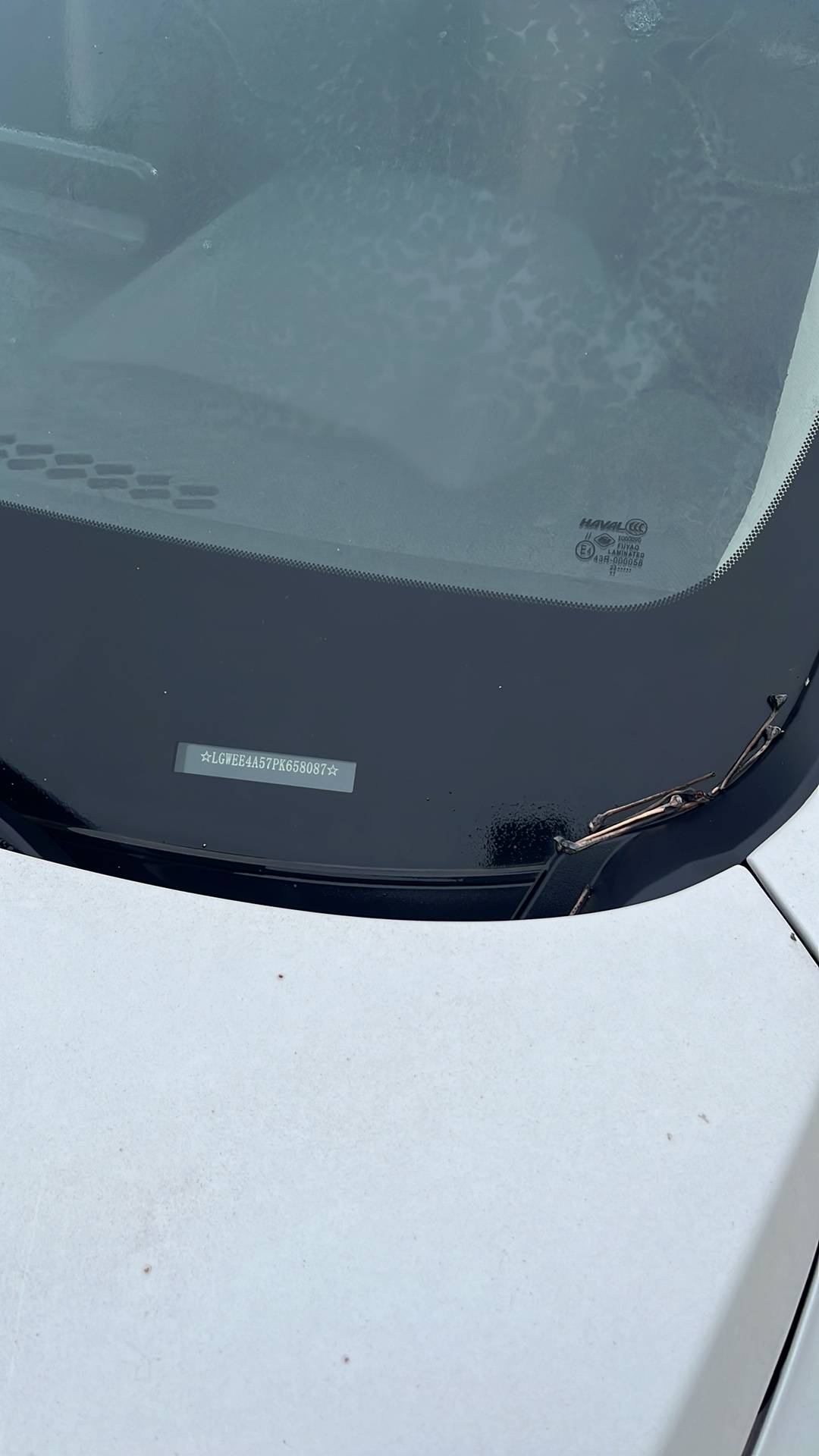 Haval Jolion,  25 415 км, 2023 года в лизинг