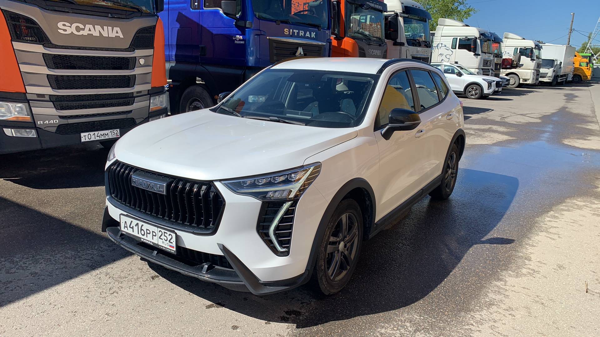 Haval Jolion