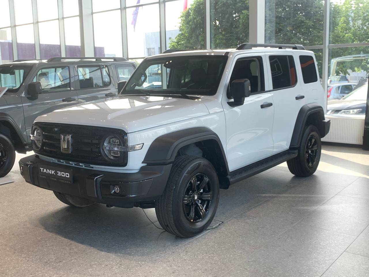 Tank 300 City Premium 2.0 8AT 4WD