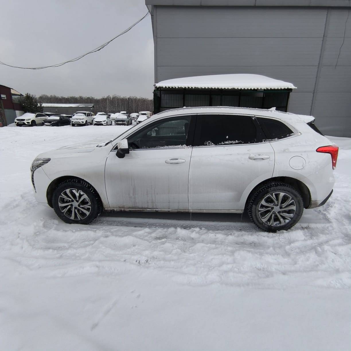 Haval Jolion,  33 651 км, 2023 года в лизинг