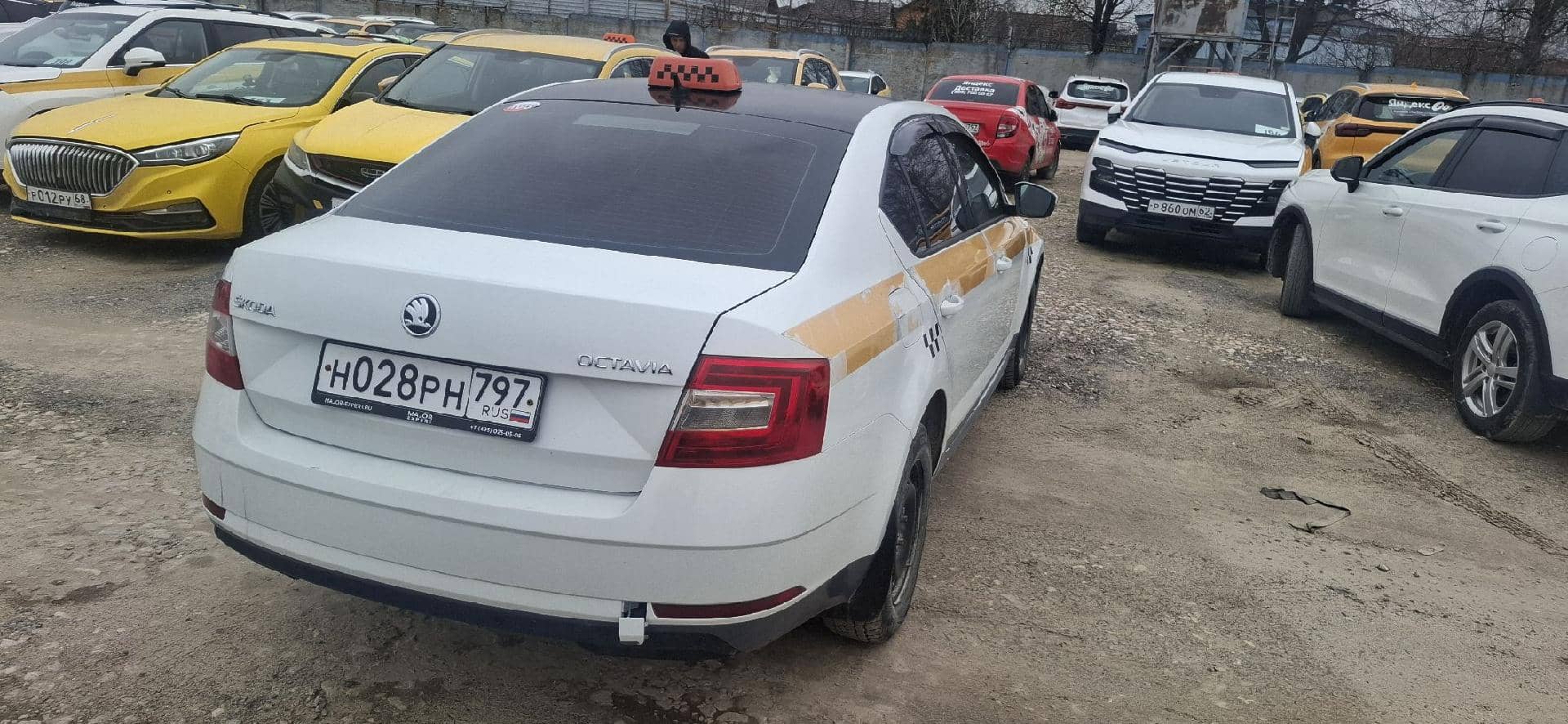 Skoda Octavia,  256 497 км, 2019 года в лизинг
