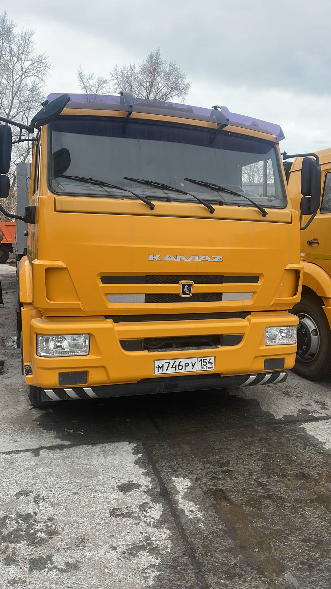 КАМАЗ 65116-A5 T2230