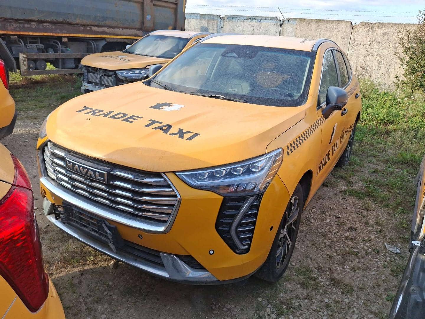 Haval Jolion