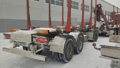 Дизель-С Сортиментовоз 600325