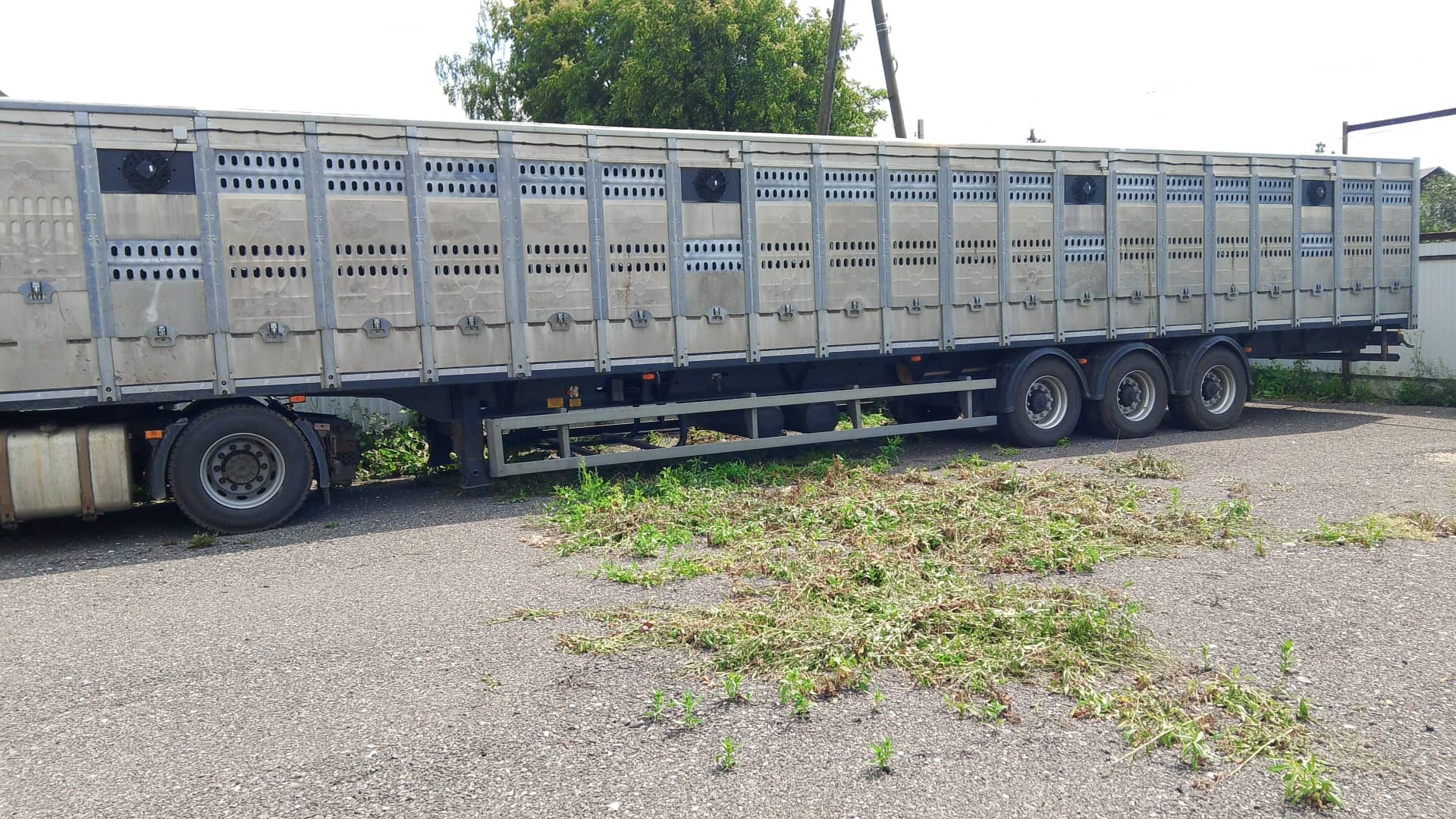 Тонар Скотовоз 9887