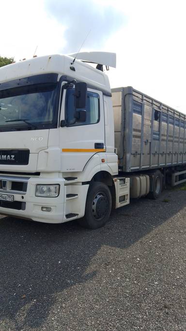 КАМАЗ 5490-DC (M1840)