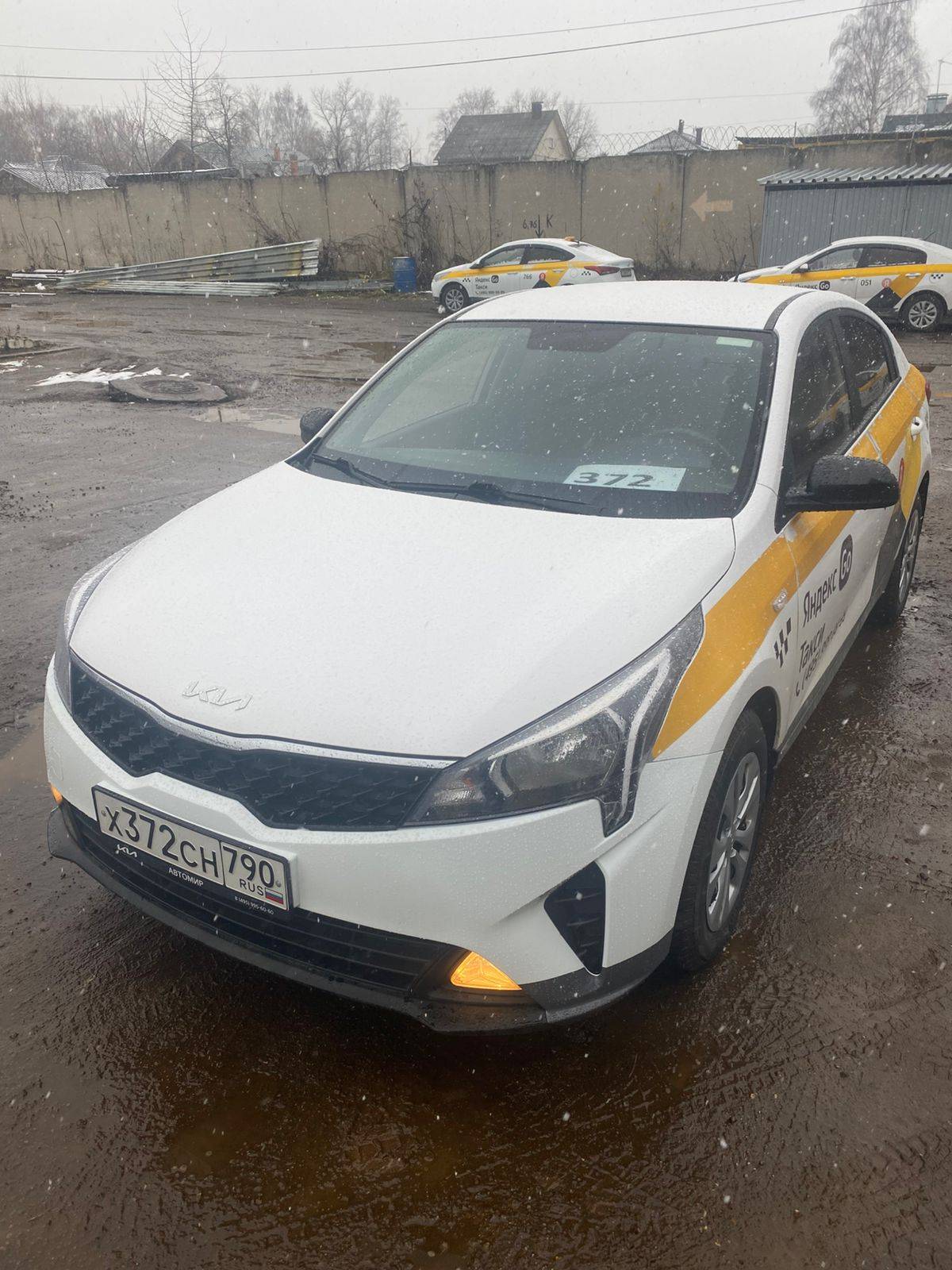 KIA Rio