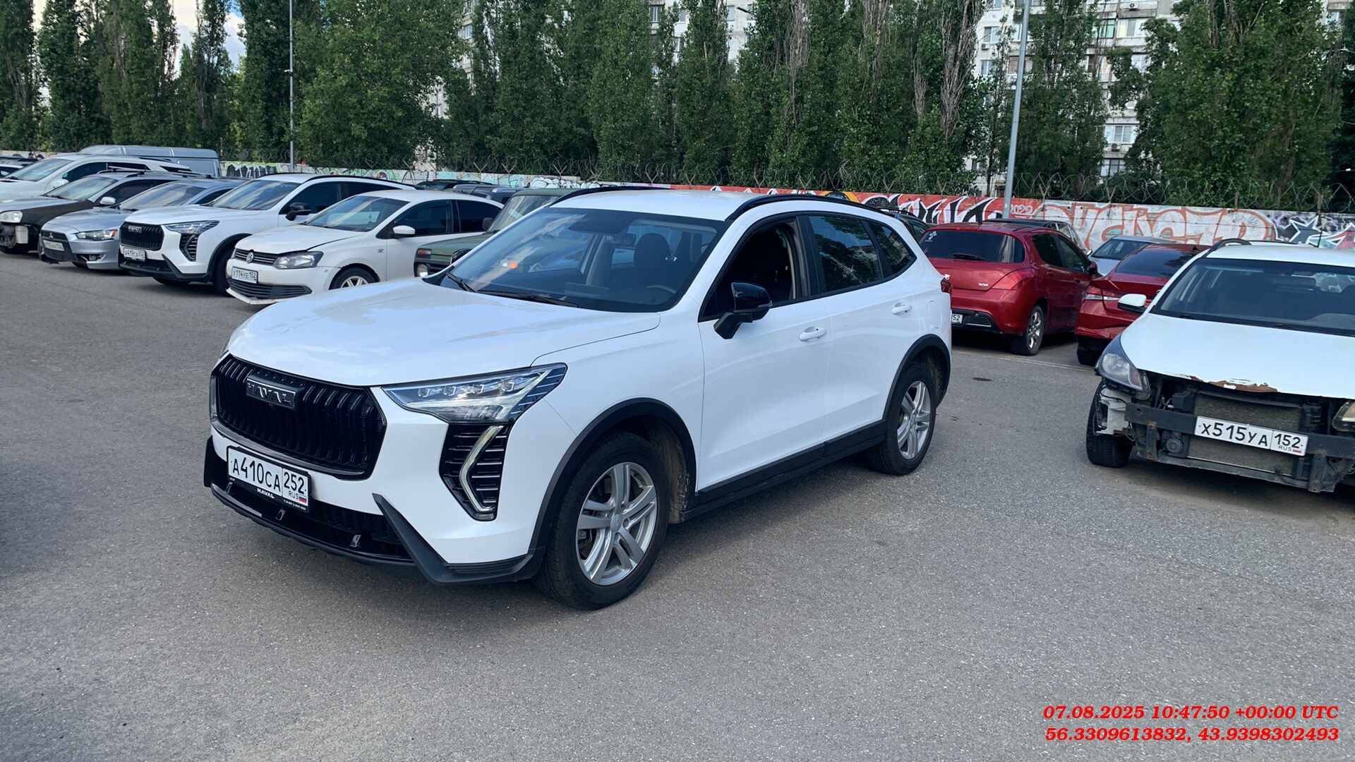 Haval Jolion