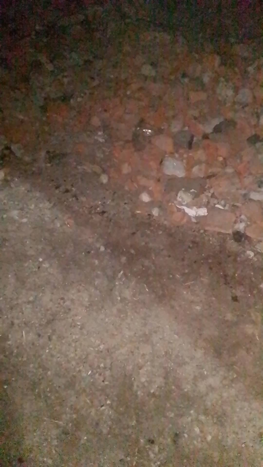 ИНТЕРПРИЦЕП 853352, 2024 года в лизинг