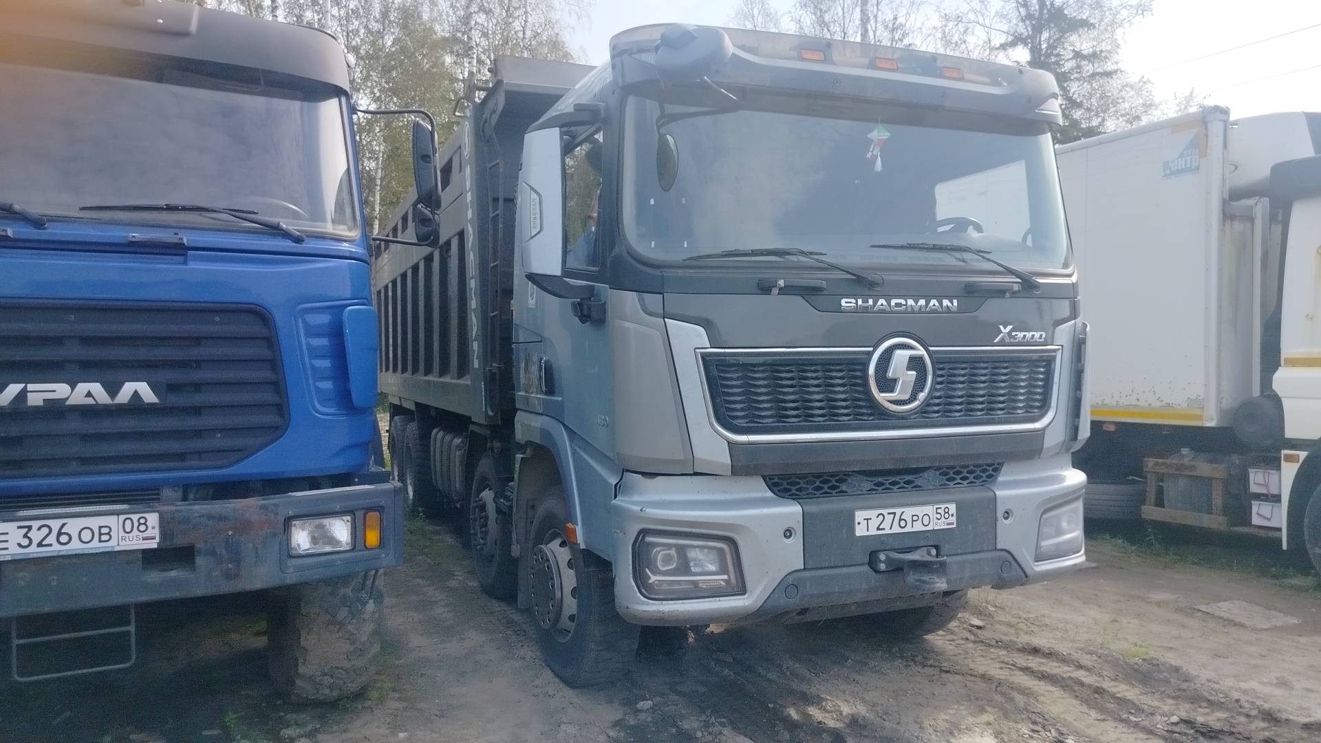 Shacman SX33186V366
