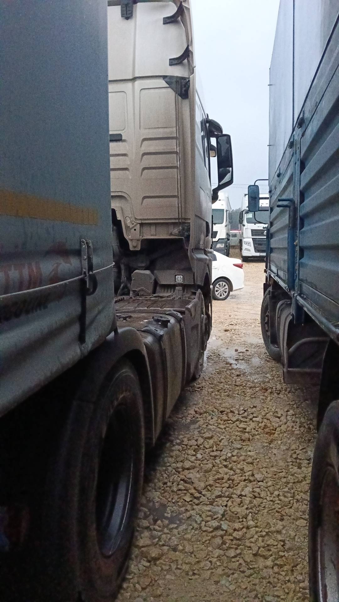 MAN TGX 18.520 4X2 BLS,  217 354 км, 2023 года в лизинг