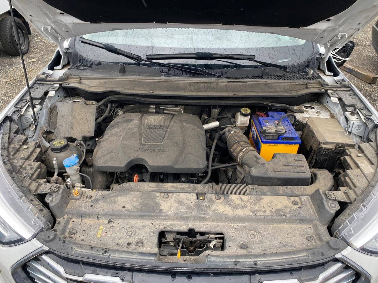 Haval Jolion,  76 134 км, 2023 года в лизинг