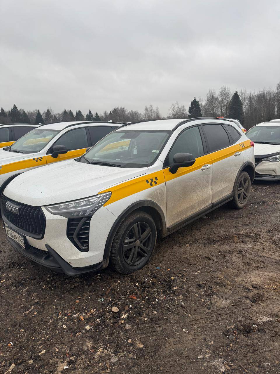 Haval Jolion
