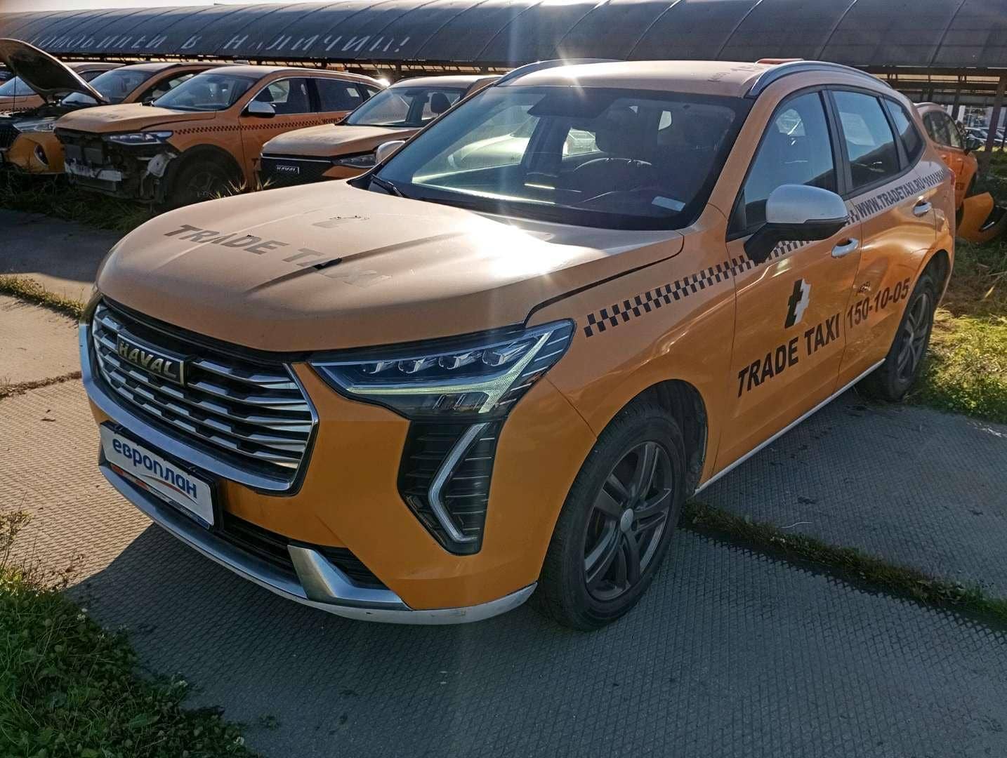 Haval Jolion
