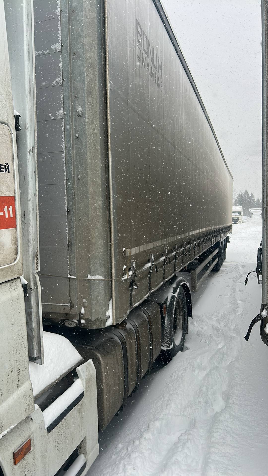 BONUM 914296-04, 2023 года