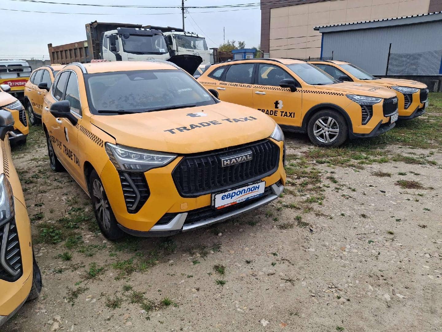 Haval Jolion