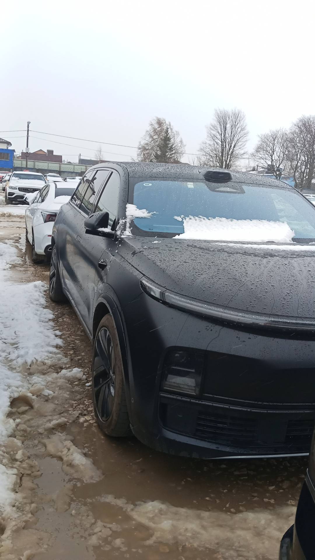 Lixiang Л9 (L7),  30 974 км, 2024 года