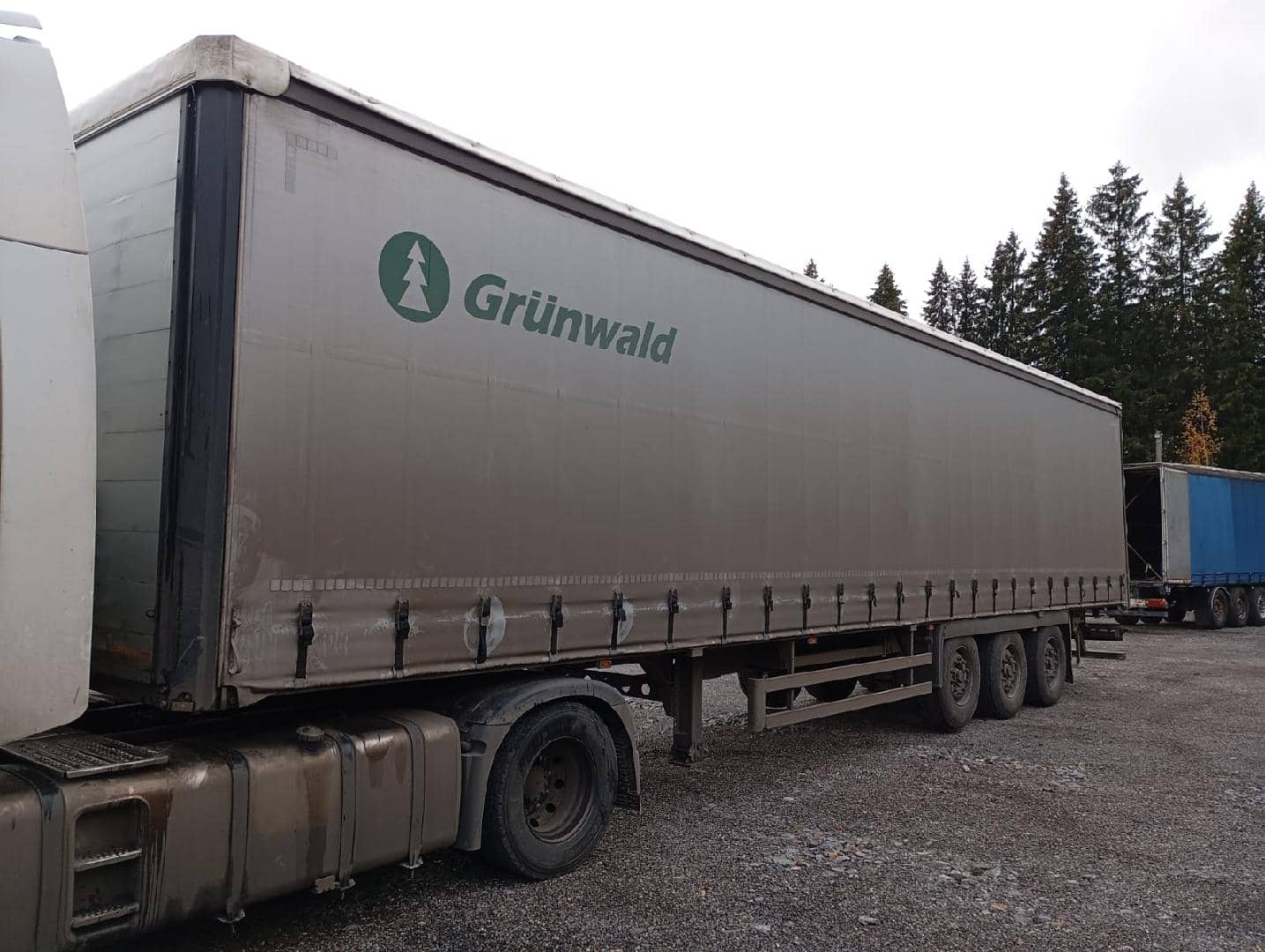 Grunwald Шторный (9453-0000010-10)