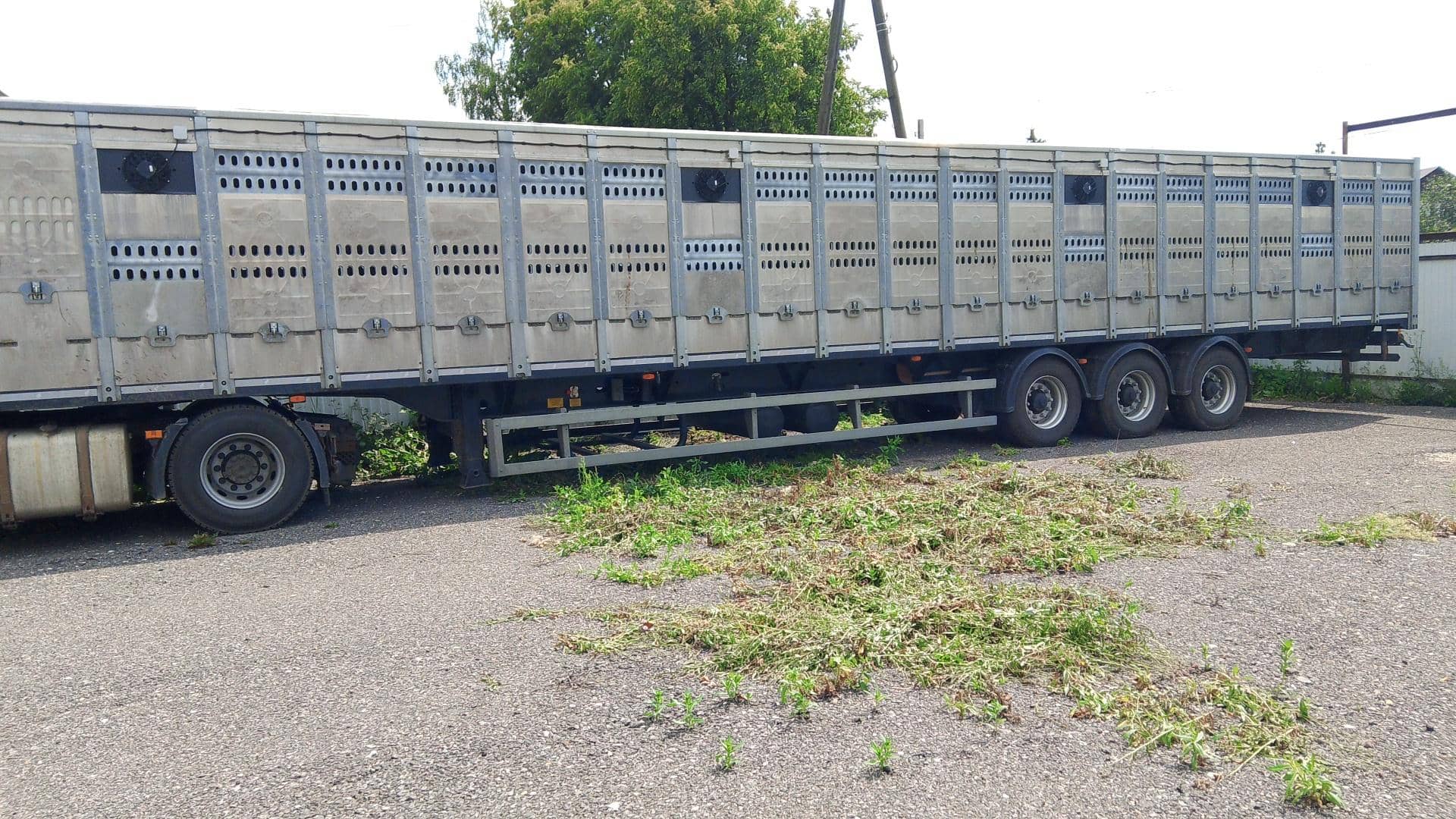 Тонар Скотовоз 9887, 2024 года в лизинг