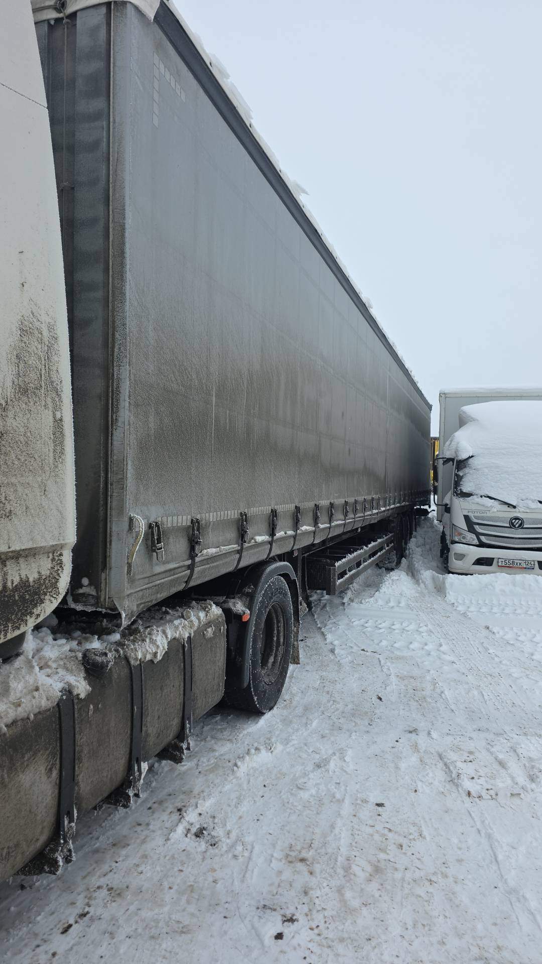 Тонар 98881 Шторно-бортовой, 2024 года в лизинг