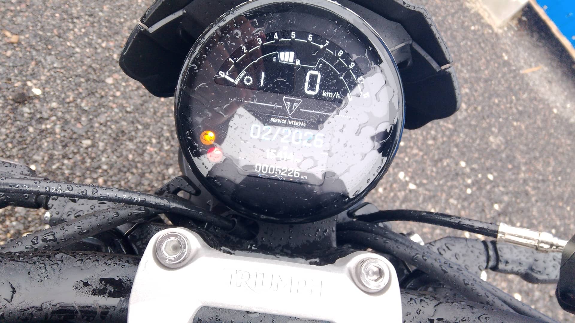 Triumph Motorcycles Trident,  15 414 км, 2022 года в лизинг