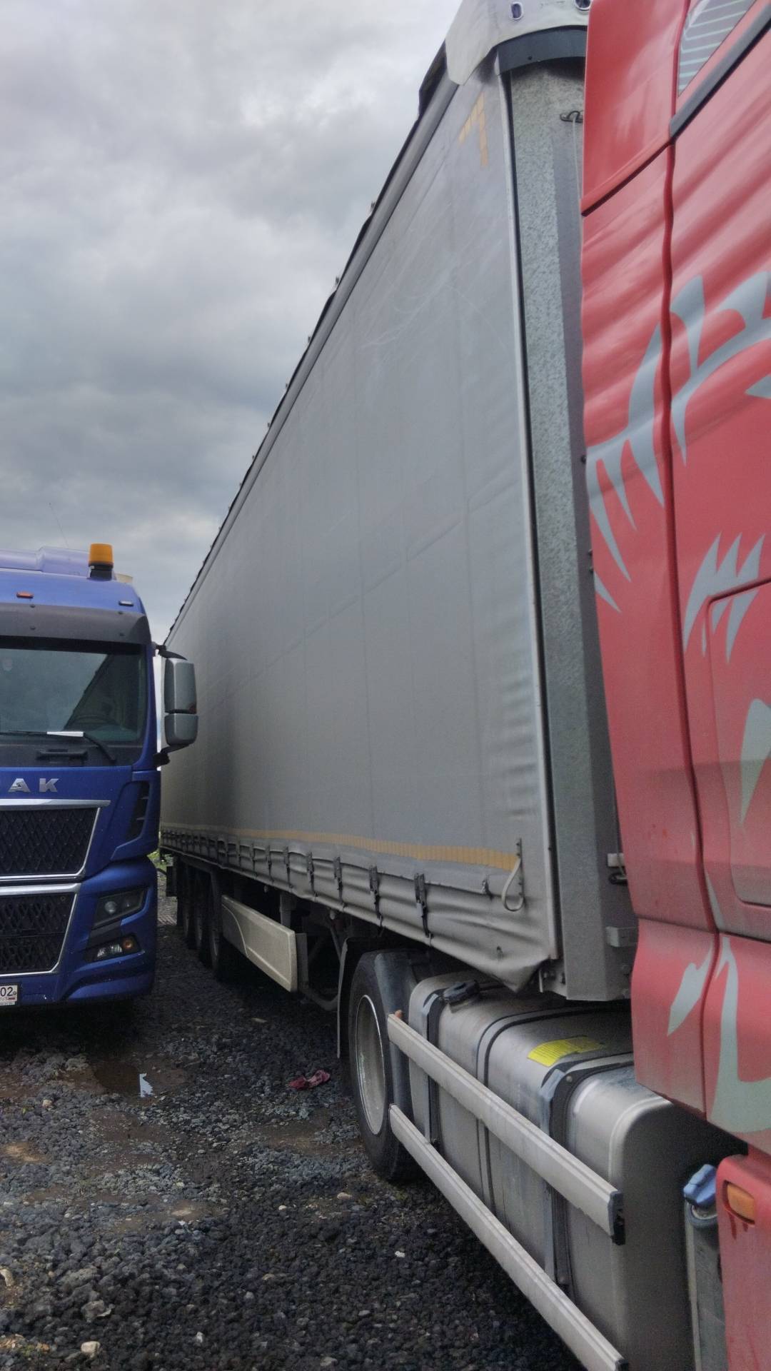 KOLUMAN S шторный