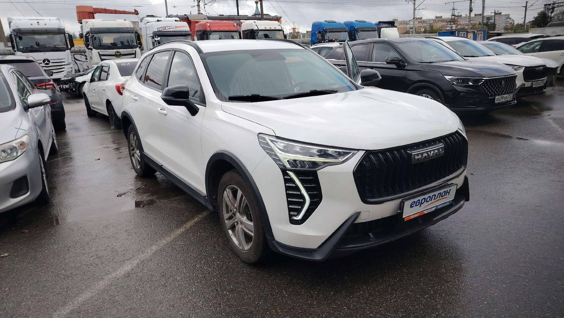 Haval Jolion