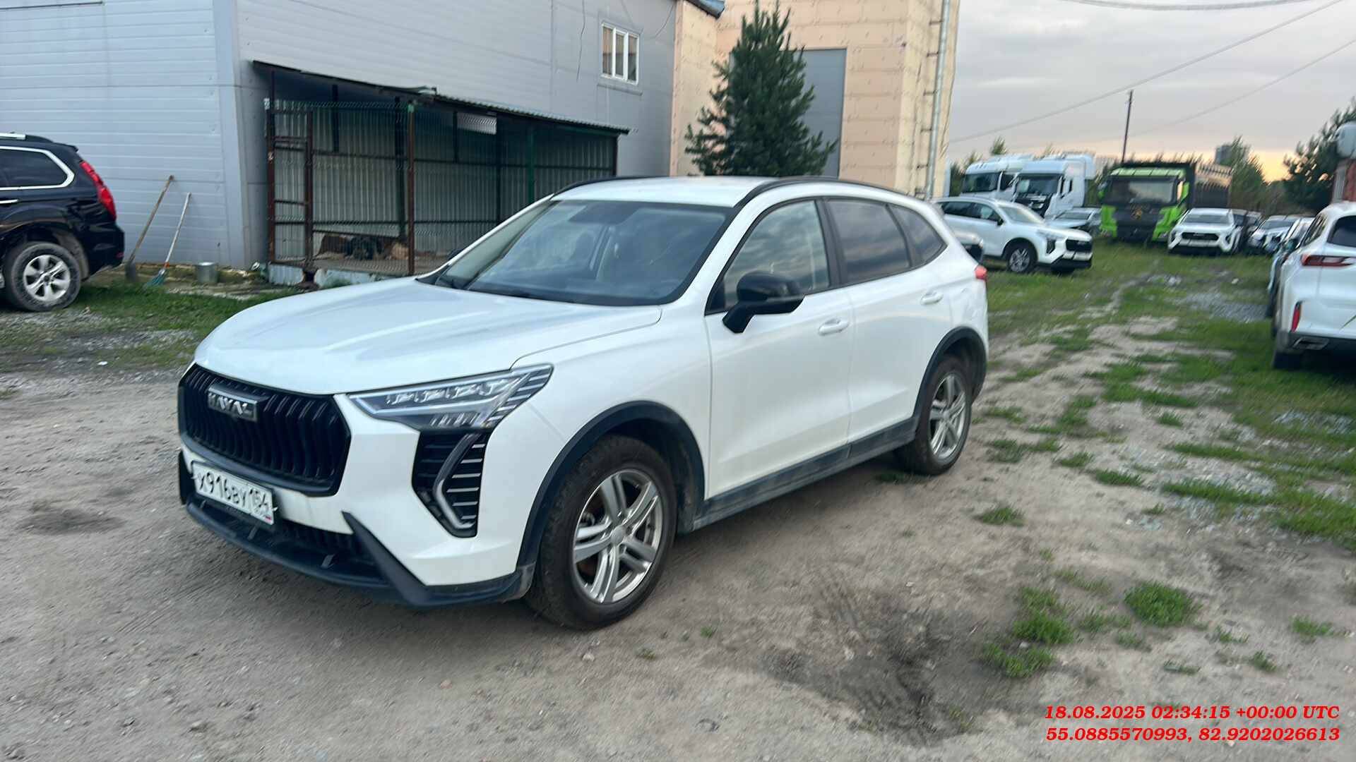 Haval Jolion