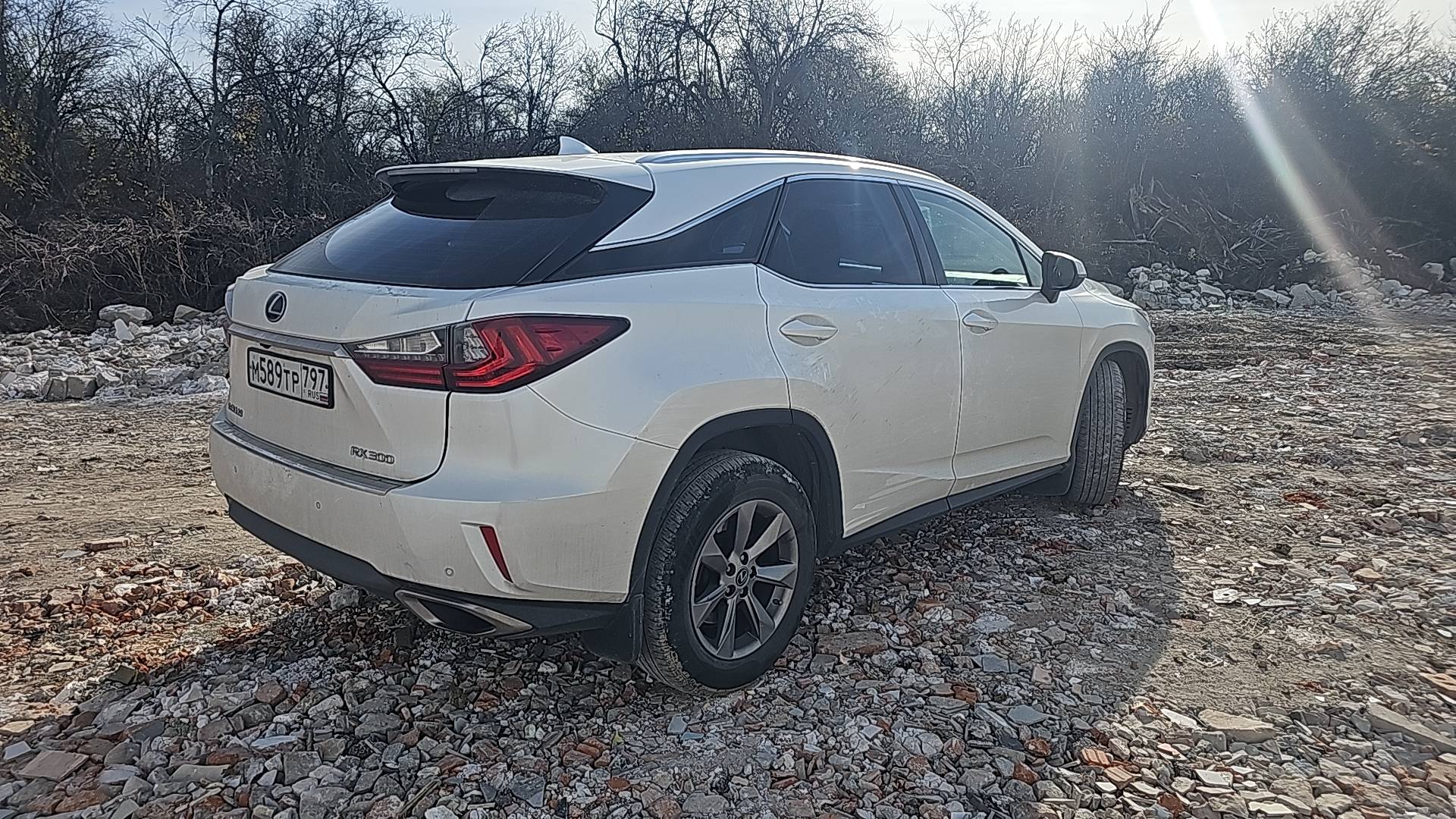 Lexus RX 300 AWD,  114 810 км, 2019 года в лизинг