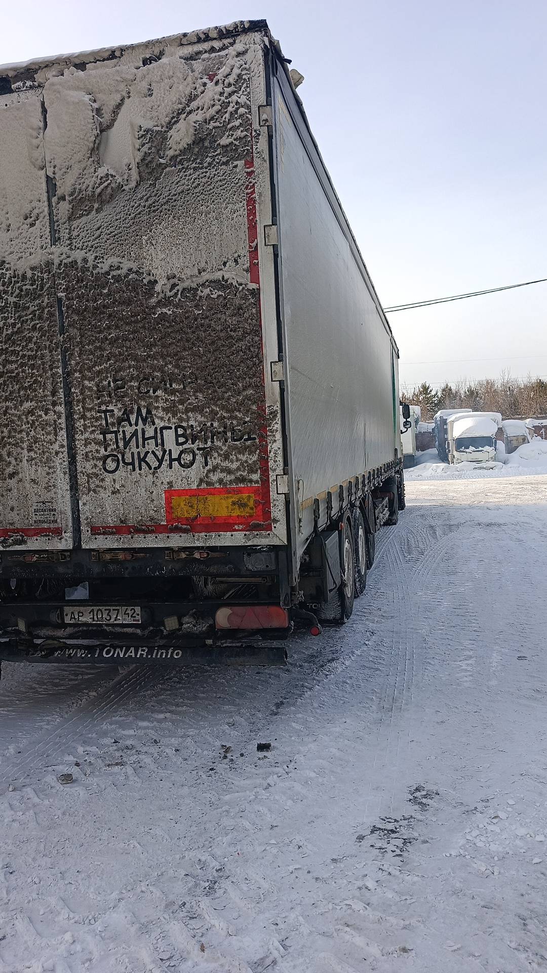 Тонар 9888 Шторно-бортовой, 2021 года в лизинг