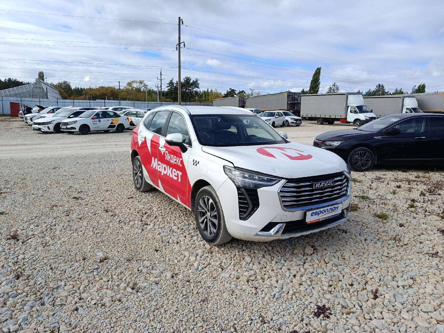 Haval Jolion