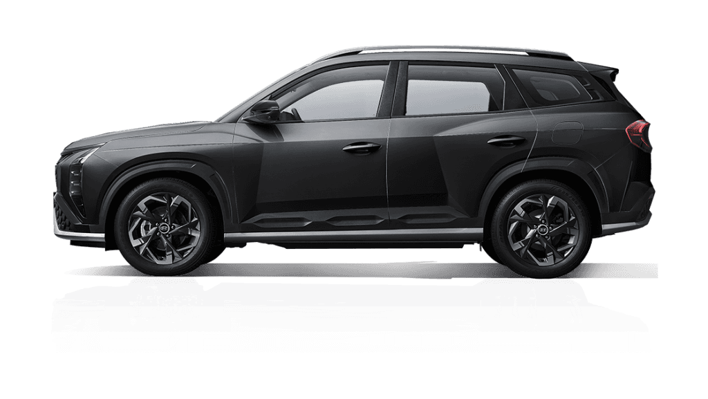 Hyundai Mufasa 2.0 DLX 