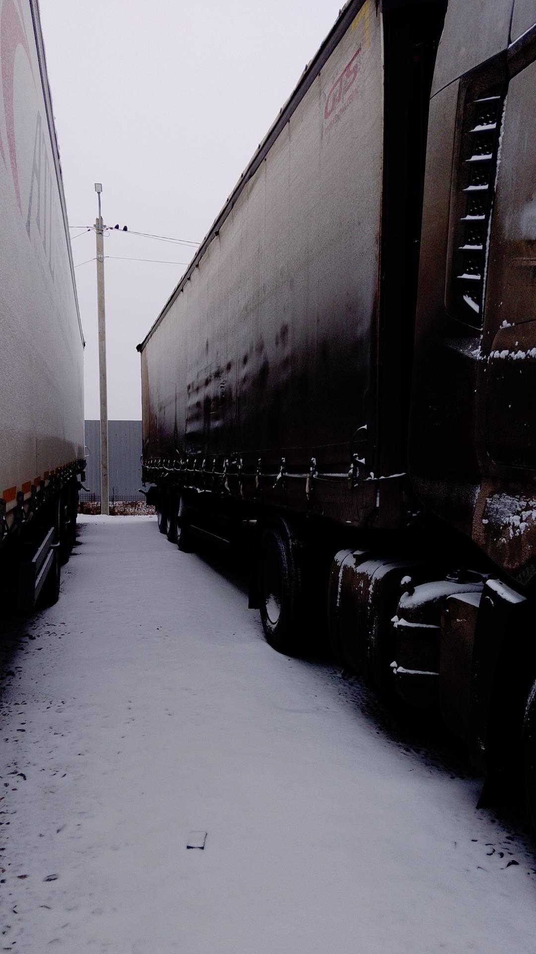 KOLUMAN S шторный, 2018 года