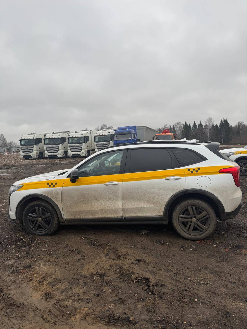 Haval Jolion,  51 240 км, 2024 года в лизинг