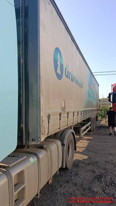 Grunwald Шторный