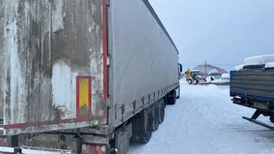 SCHMITZ Шторный 9084