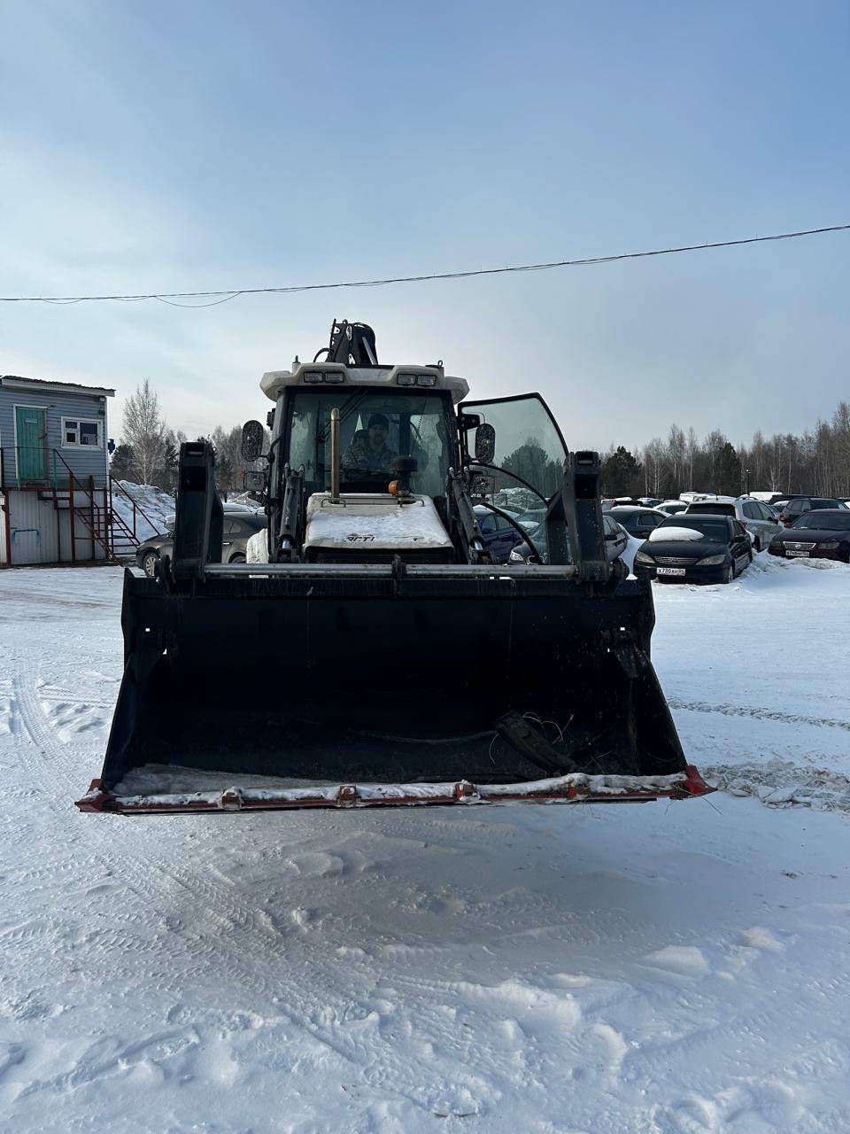 ARCTIC BEAR 3BX-T Лот 000007487