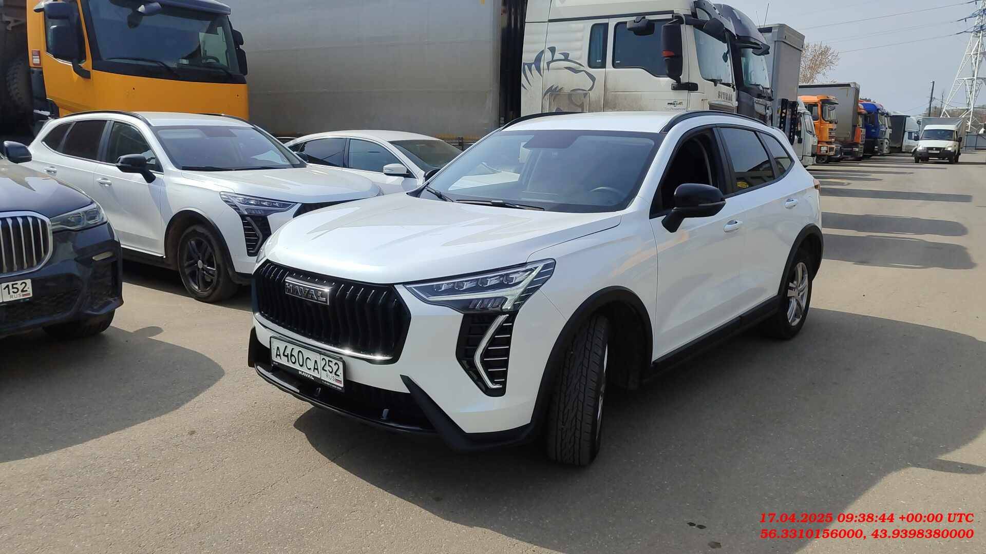 Haval Jolion