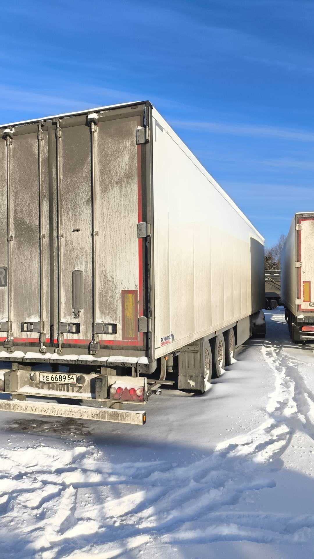 SCHMITZ Рефрижератор SKO24/L, 2023 года в лизинг